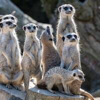 Mundo Mix Radio 221 (19-05-2023) by DJ João Machado