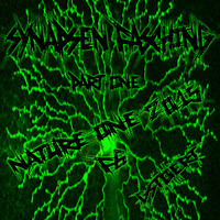 |||GstoeRt||| - NatureOne2015 -|- Synapsen Fasching Part1 - by | GstoeRt |