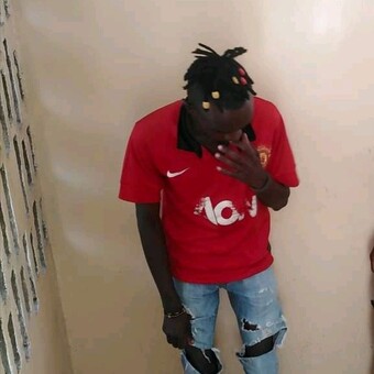 Selector Gaza-Auditor