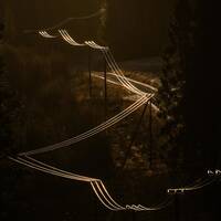 Basswald #39: Pagan Electric by Basswald