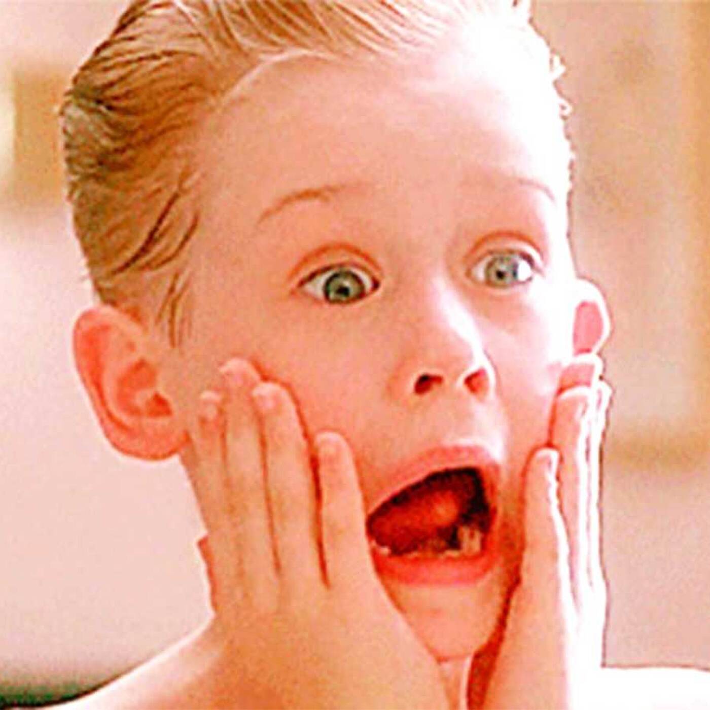 Home Alone Too