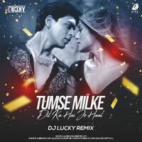 Tumse Milke Dil Ka (Remix) - DJ Lucky by All Indian DJs Drive