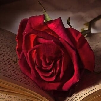 Beleria *Belle* Tatum