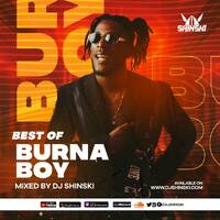 Best Of Burna Boy Mix - Dj Shinski [Kilometer, Ye, Anybody, On the Low, Jerusalema, Killin Dem, 23] by DJ Shinski