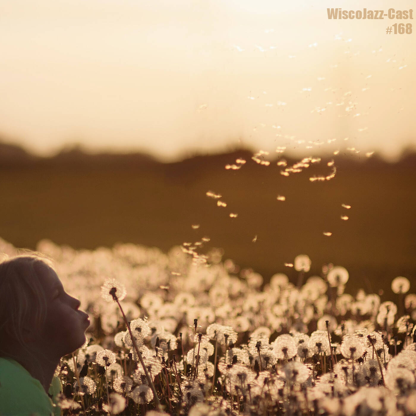 WiscoJazz-Cast - Episode 168 episode artwork