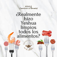 205. ¿Realmente Yeshua hizo limpio todos los alimentos? | Respuestas en la Biblia by Kehila Camino a Emaus