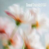 Kemmi Kamachi # 555 by Kemmi Kamachi