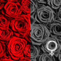 We Two - Her Selection by OTSO - On The Shoulders Of