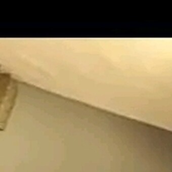 Dj kidlax mr vibestar