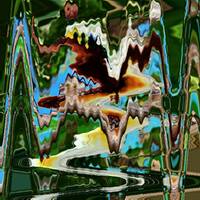 Cent pas by Gérard Delassus