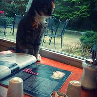 Favorite Stoners by TOvO