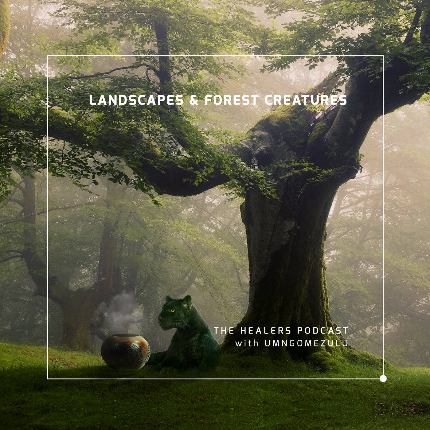 Landscapes & Forest Creatures 'THE HEALERS PODCAST WITH UMNGOMEZULU'