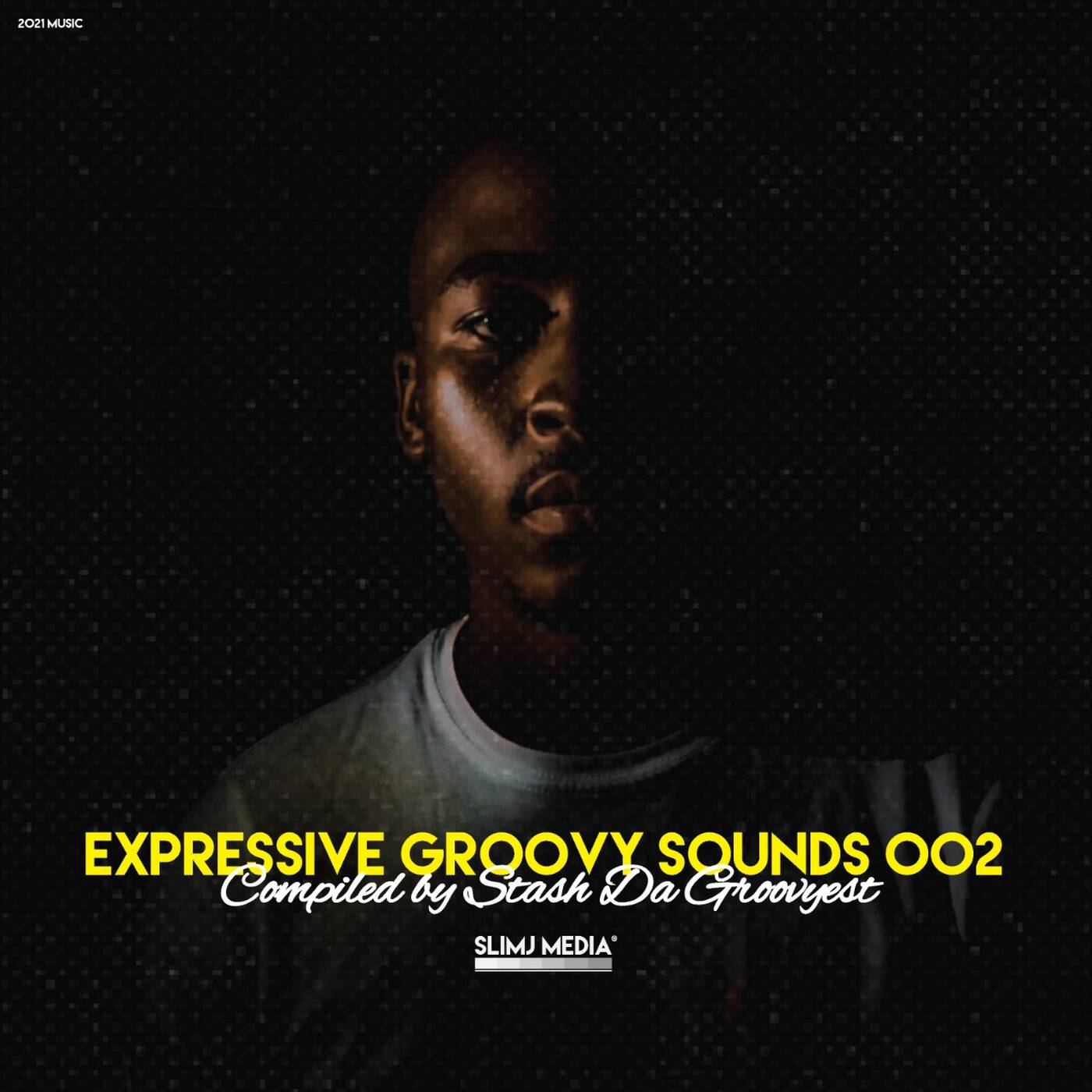 Expressive Groovy Sounds 002 (Mixed  Compiled by Stash Da Groovyest) (hearthis.at) episode artwork