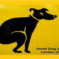 Smart Dog Video London (UK) by Napoleon Bonaparte