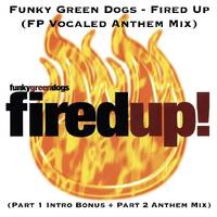 Funky Green Dogs - Fired Up (FP Vocaled Anthem Mix) 10'58" by TEST PRESSING