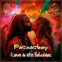 Love is the Solution by Picnicboy
