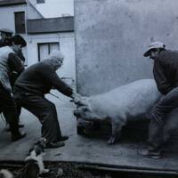 warehouse ∘ 2013 ∘ 03 ∘ an einem strang by otto jentzsch