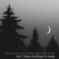 Insight Sequence 6 (Promises to Keep and Miles to go Before i Sleep, After Party Set) by Cinematik Phunk