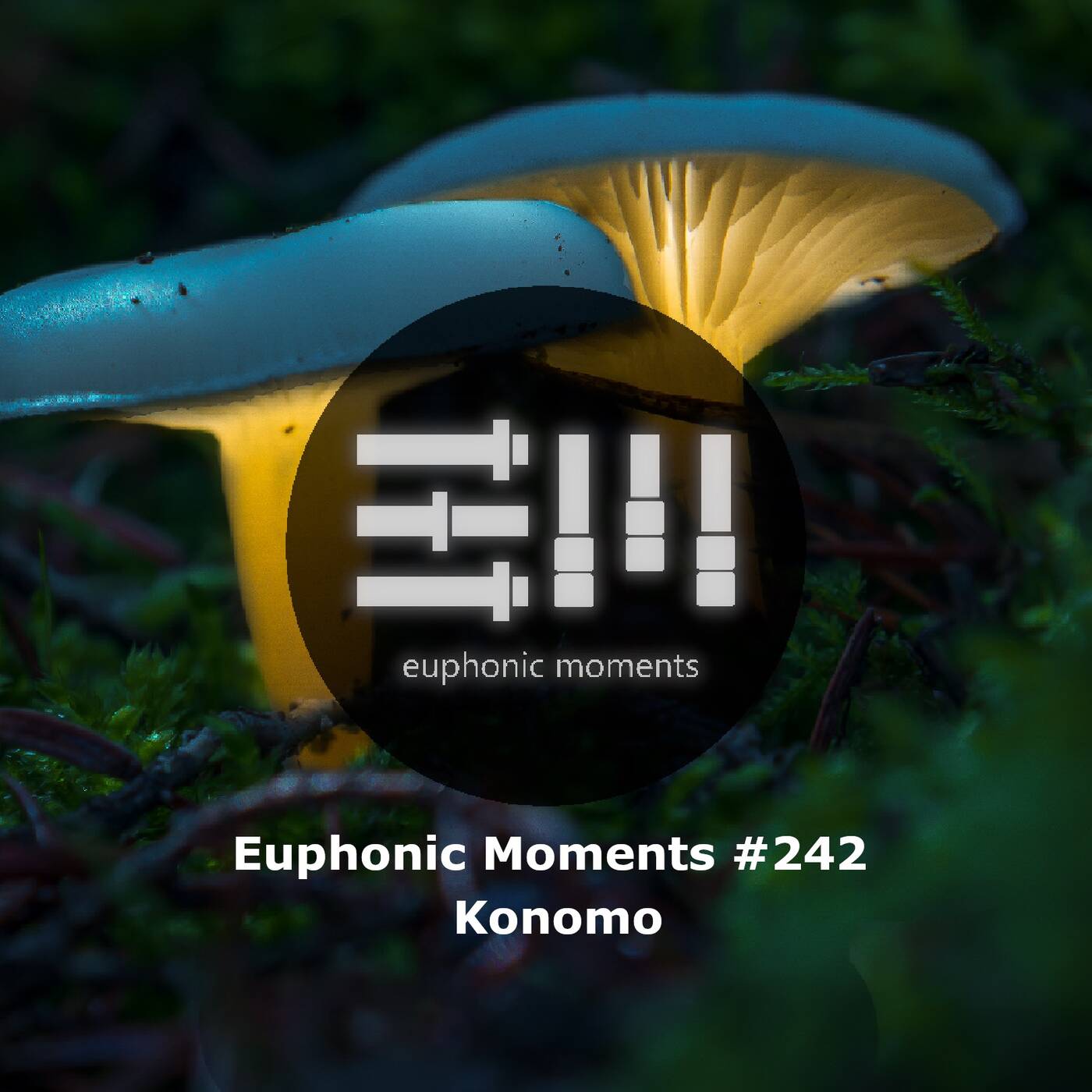 Euphonic Moments # 242 Konomo episode artwork