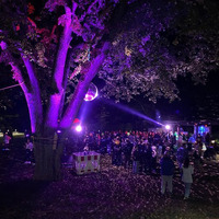 AxWax @ Dopey Daze Altstadtfest Altdorf 2024 by AxWax