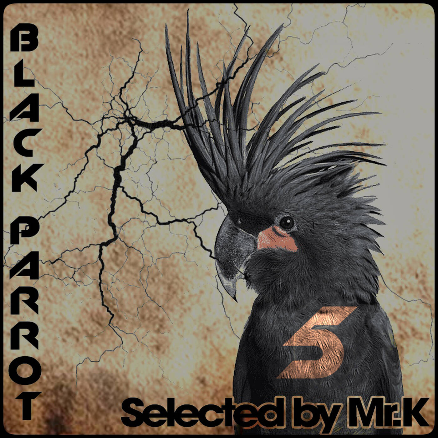Black Parrot vol.5 - Selected by Mr.K episode artwork