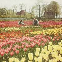 S+D, Vol 245: The Meaning of Love by Static + Distance