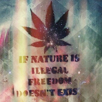 Сергей Рогачёв