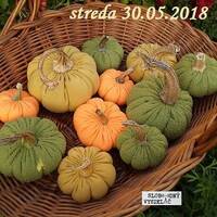 Farmári 18 - 2018-05-30 Tekvičkári by Slobodný Vysielač
