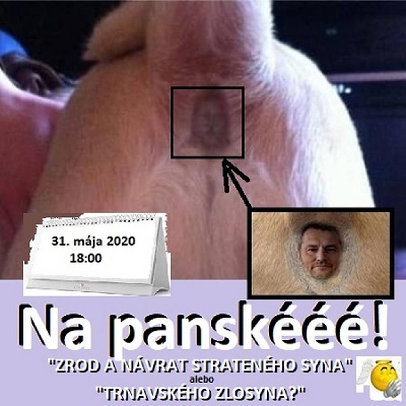 Na panské - 2020-05-31 humoristický týždenník 22/2020 episode artwork