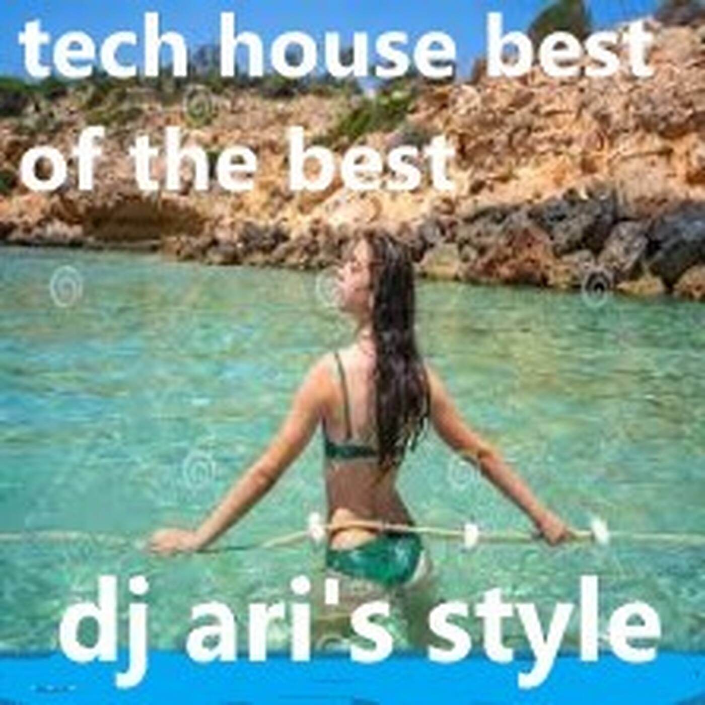 DJ ARI'S STYLE#SUMMER PARTY&BEST OF THE BEST&TECH HOUSE#EP 04 episode artwork