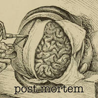 renan.post.mortem by renan