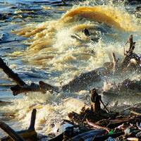 Премьер-министр Казахстана Олжас Бектенов поручил Министерству по чрезвычайным ситуациям (МЧС) обеспечить полную готовность к паводкам в 2025 году by BUSINESS FM