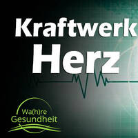 Kraftwerk Herz – Störquellen von außen ? - Dipl.Ing (bio-med) Jutta Suffner by NuoFlix