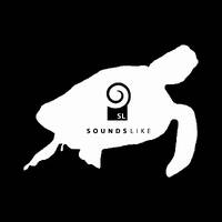 Dallas Observer Mixtape #127: Defunkt by SOS Dallas DJ Archive