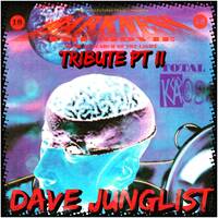 Total Kaos - Darkness The Movie 29-1-1993 Tribute Pt II by Dave Junglist