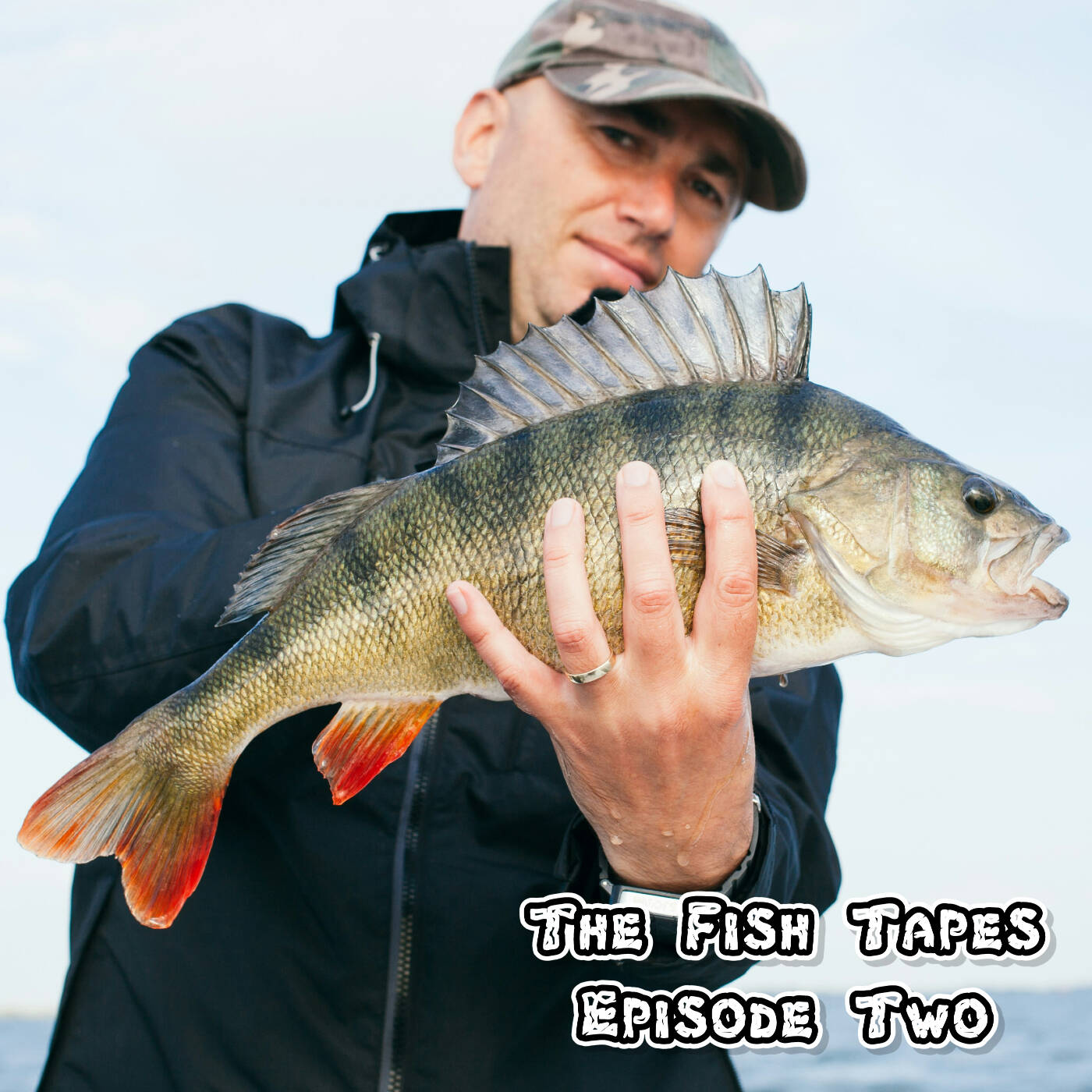 The Fish Tapes 002 episode artwork