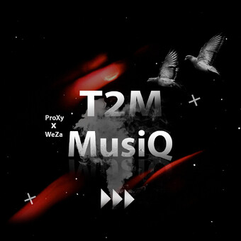 T2M MusiQ