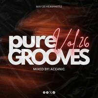 Pure Grooves Vol.26 Mixed By. ACE4NIC [May'25 Heavyhittz] by Pure Grooves Music SZ