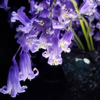 binar - underground junglist mixtape spring 2026 070426 by binar