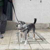 podcast 18 by LE MATOU