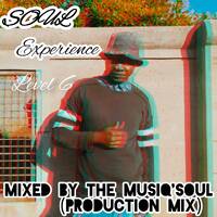 Soul Experience Level 6 (Production Mix) by Michael MusiQ'Soul