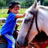 viva la vida by Hans Krauß