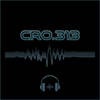 cRo.313