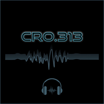 cRo.313