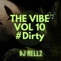 THE VIBE VOL 10 #Dirty by Dj Nellz