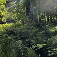 Flying Souls by Oliver Melenor by Oliver Melenor