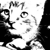 N¡gh† P▲††Σrns by Klyk_Blvir