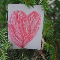 9. simbols | Krūms | 10.12.2018. by Radio Marija Latvija