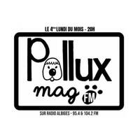 POLLUX MAG FM - 28 mars 2022 by Radio Albigés