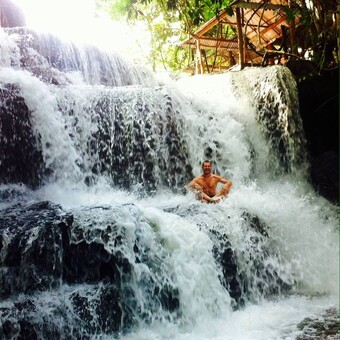 Leopold S&ouml;derpalm